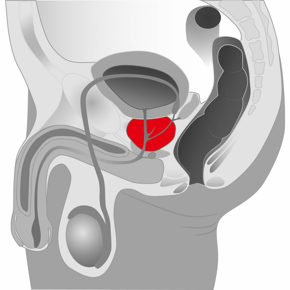 Prostata Twister Roterende Stimulator Sort - Billede 5